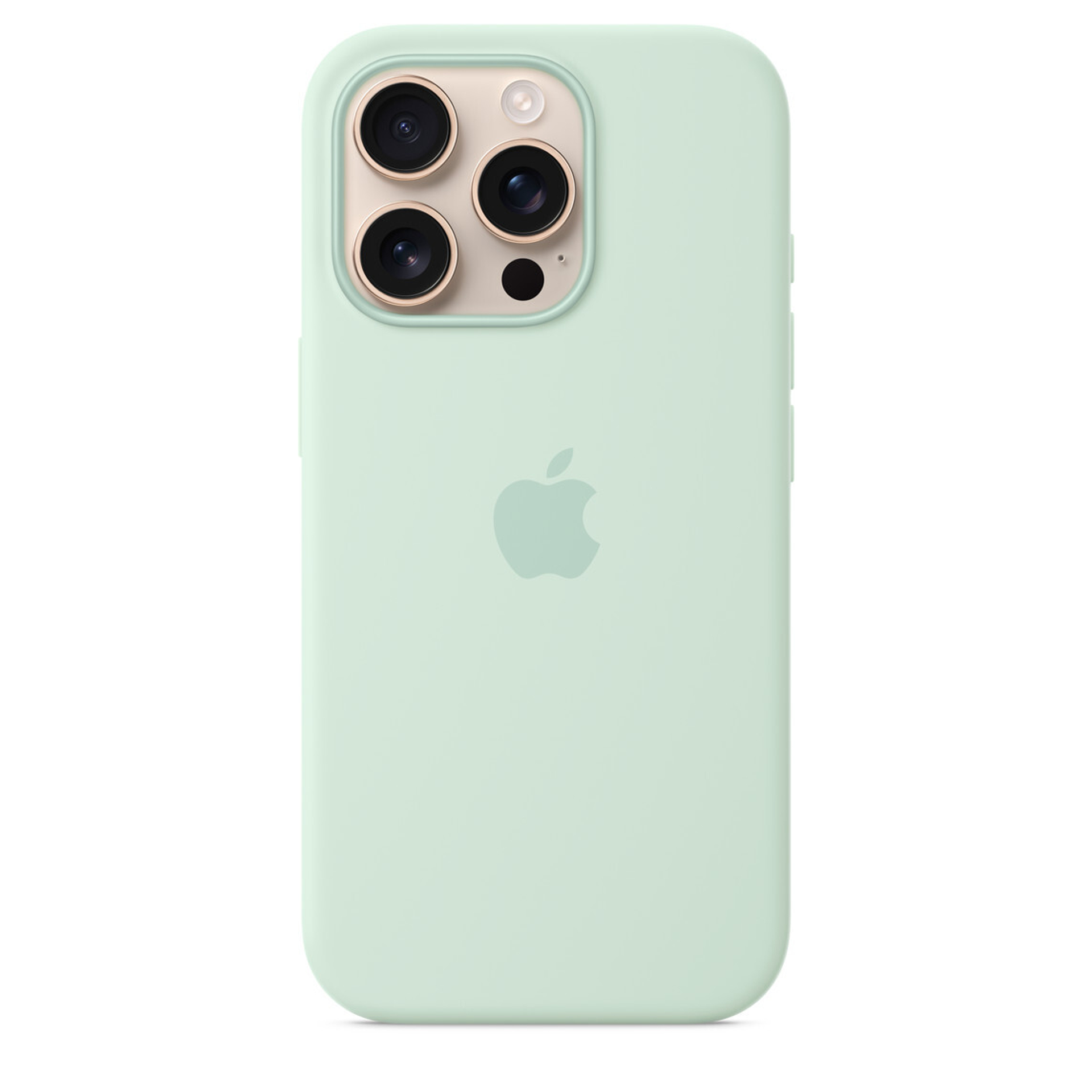 Silicone Case with MagSafe iPhone 16 Pro Max/16 Pro