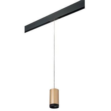 Комплект со светильником 1*GU10 220V PRORP440437 золото/чёрный Rullo Pro Lightstar