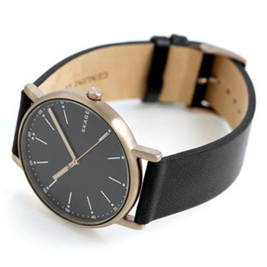 Мужские часы Skagen SKW6401