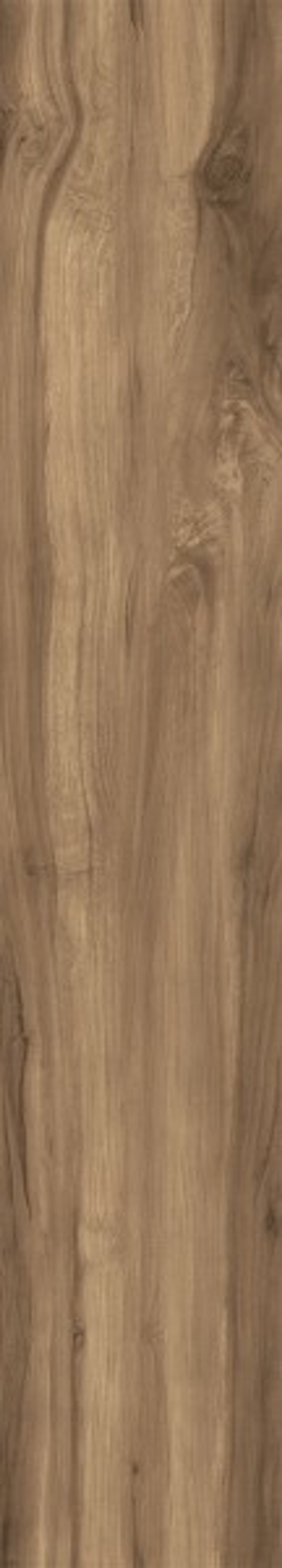 FOSSIL WOOD WENGE CW-RT10-B