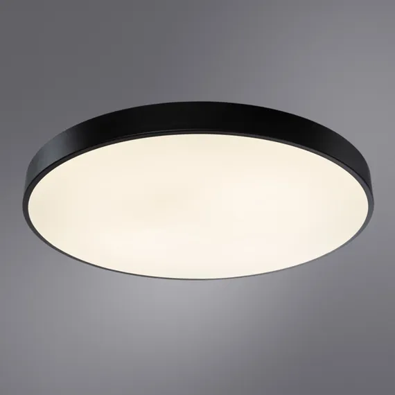 Потолочный светильник Arena A2673PL-1BK Arte Lamp