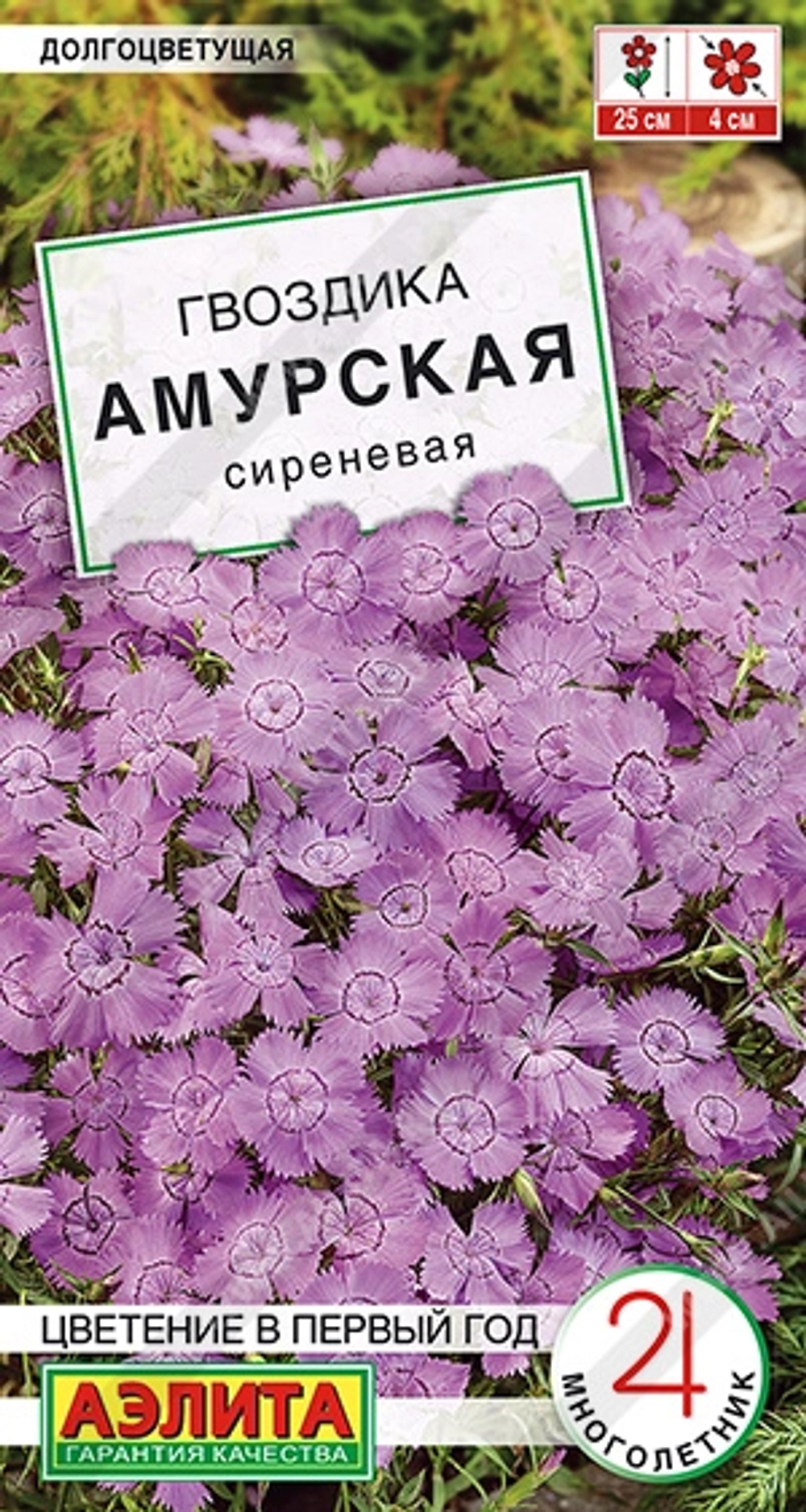 Гвоздика Амурская сиреневая многолетник 0,05г (Аэлита)