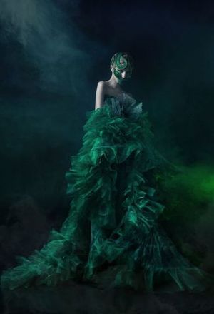 By Yan Froloff and Valery Mikhalitcyn Iris Invida
