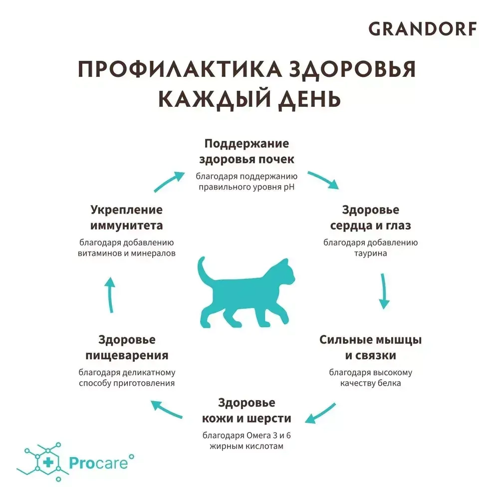 Корм сухой для котят с ягнёнком и рисом, пакет 400г, Grandorf Cat Lamb & Rice Kitten