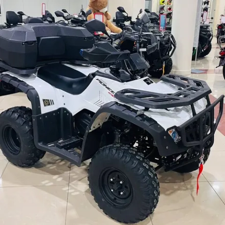 Квадроцикл (комплект для сборки) Explorer 250 4х2 Белый (RR)