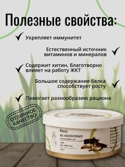 Микс из насекомых консервированный ONTO, 40 г
