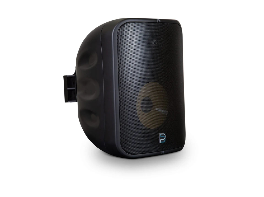 Акустическая система Bluesound BSP1000 BLK