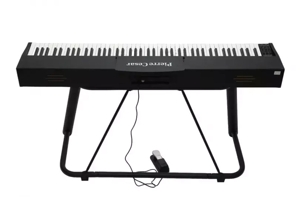 Pierre Cesar DP-121-H