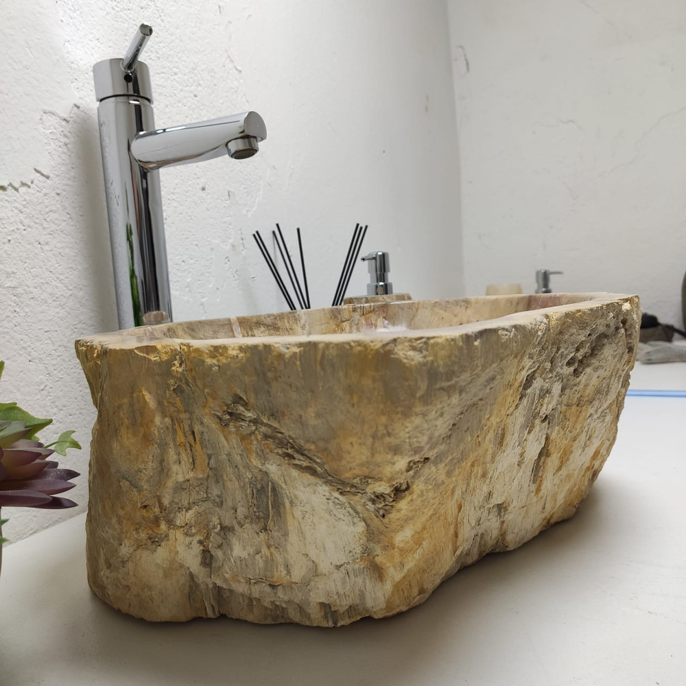 Раковина из окаменелого дерева OD-61312 44x36x15 из натурального камня
