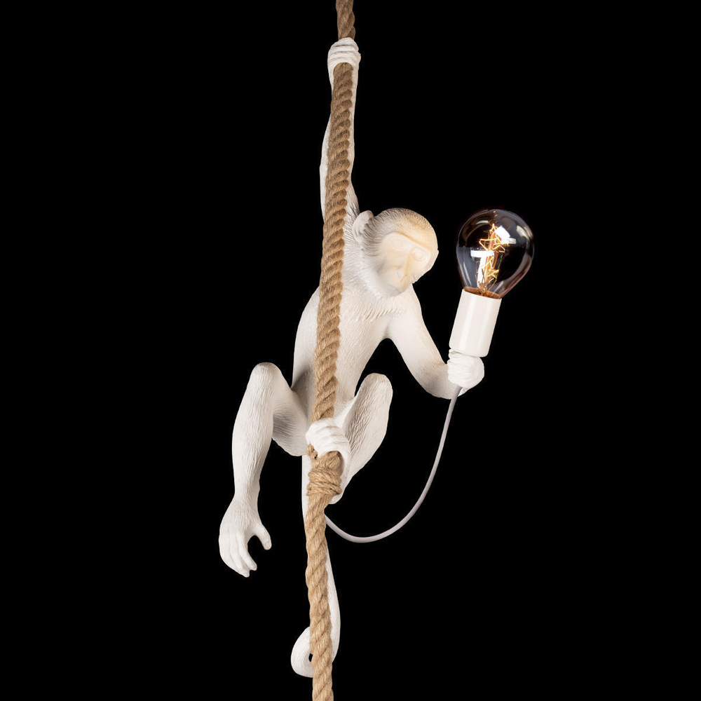 Подвесной светильник Loft It Monkey  10314P
