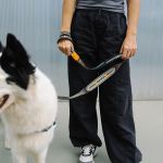 Удлиненная водилка Nit CHRON 100 см Zee.Dog