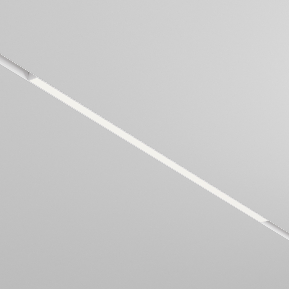 Магнитный трековый светильник Maytoni EXILITY 23мм Basis TR030-4-30WTW-DD2-W
