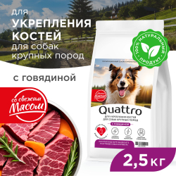 Корм сухой для взрослых собак крупных пород, премиум полнорационный комплекс, для укрепления костей у собак, с говядиной, 2,5 кг, QUATTRO