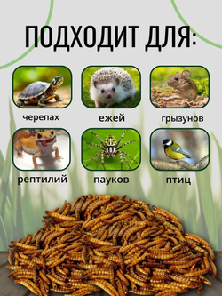 Консервированный зофобас ONTO, 40 г