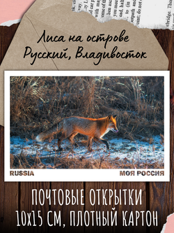 Моя Россия. Осень (выпуск №3, 2023)