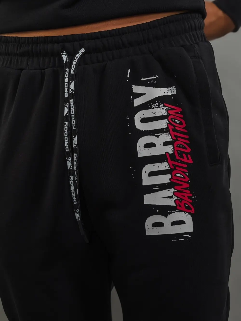 Спортивные Штаны демисезон Bad Boy Bandit