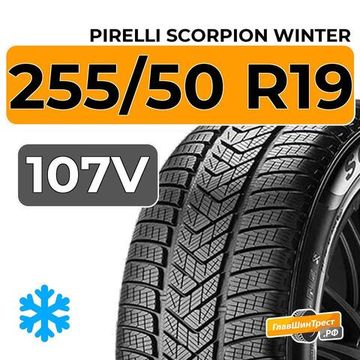 Pirelli Scorpion Winter 255/50 R19 107V XL