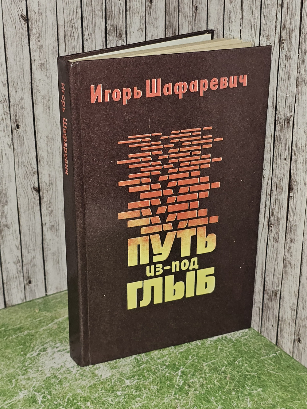 Путь из-под глыб. Шафаревич Игорь Ростиславович
