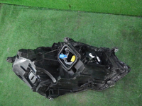 DSCN5652.JPG