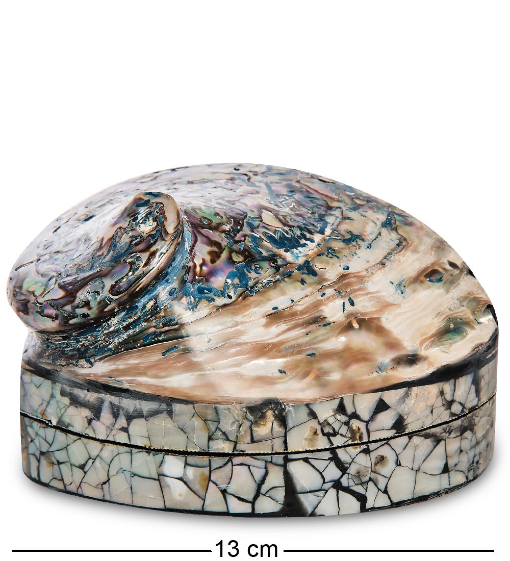 Decor and Gift 54-013-02 Декоративная шкатулка «Ракушка»