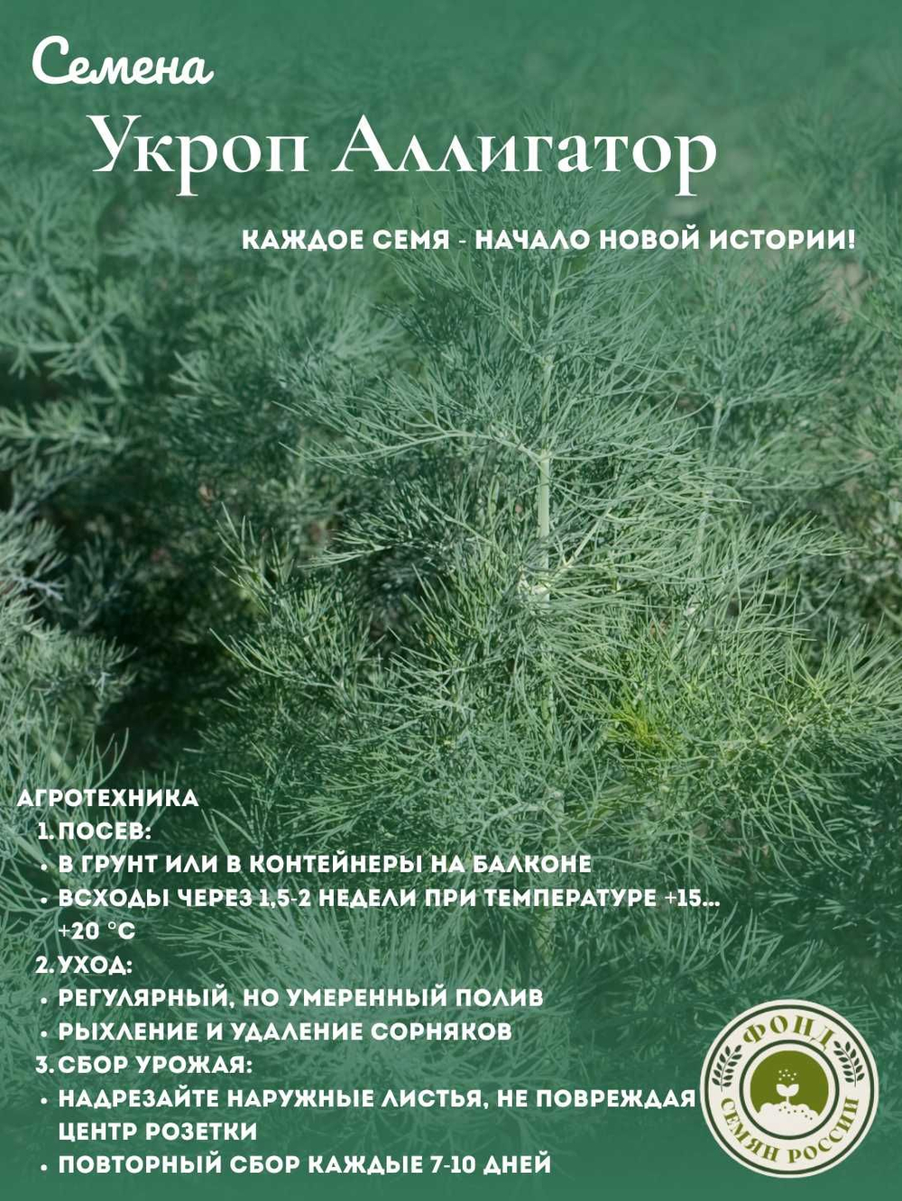 Набор Семян Укропа Аллигатор, Аэлита, 4 гр. (2 упаковки)