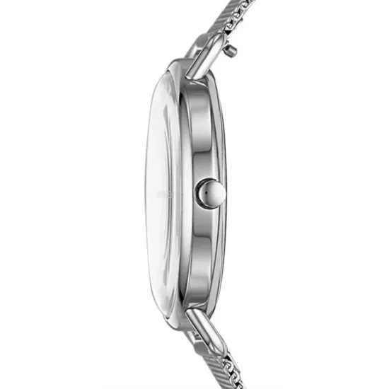 Женские часы Skagen SKW2738