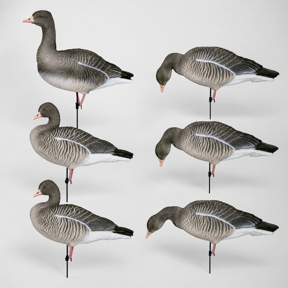Серый гусь Duck Mania "ALFA"