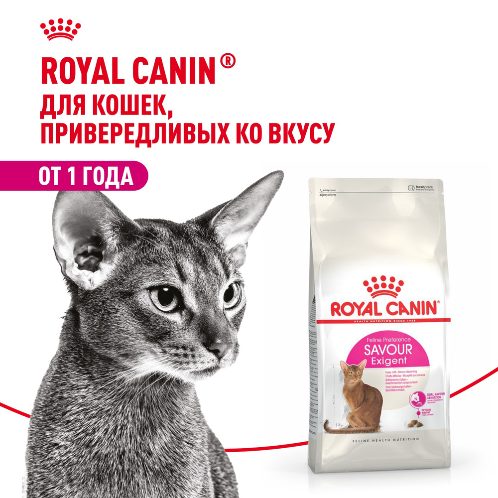 Royal Canin Savour Exigent Сэйвор Экзиджент Корм сухой для взрослых кошек привередливых ко вкусу 2кг