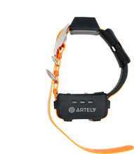 GPS ошейник ARTELV COLLAR 0.5W