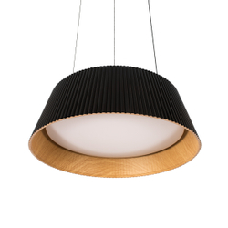 10224P Black Подвесной светильник LOFT IT Evans