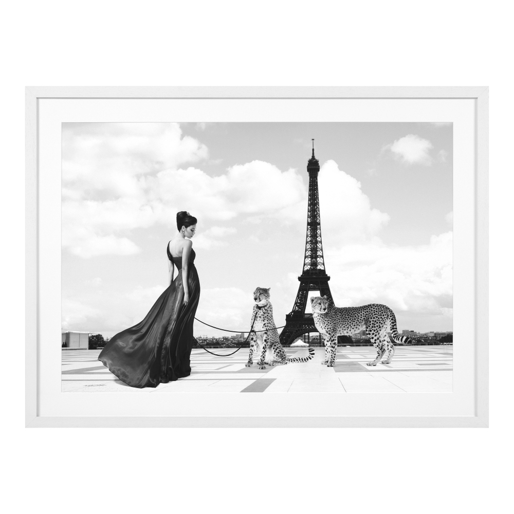 Постер Print Trocadero View арт.112755