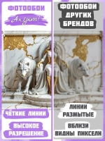 Объемные 3D Фотообои "Девушка на троне и волки из мрамора"