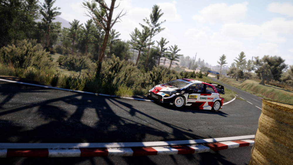 WRC 10 FIA World Rally Championship Deluxe Edition (для ПК, цифровой код доступа)