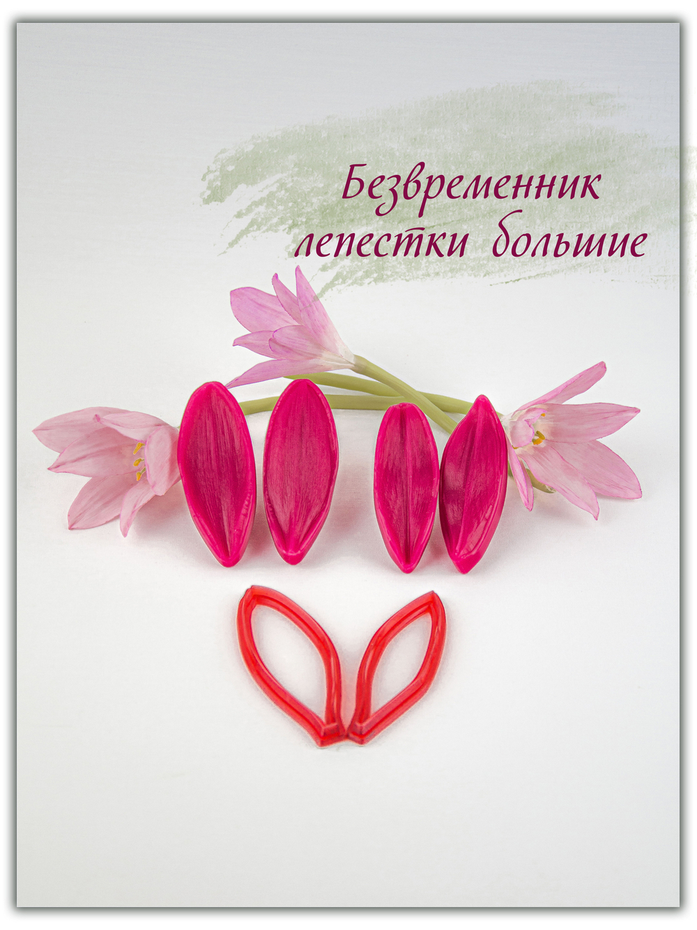 Безвременник. Лепестки большие