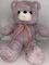 Yumşaq oyuncaq \ Мягкая игрушка \ Soft toys Ayı (bantik) (bənövşəyi)
