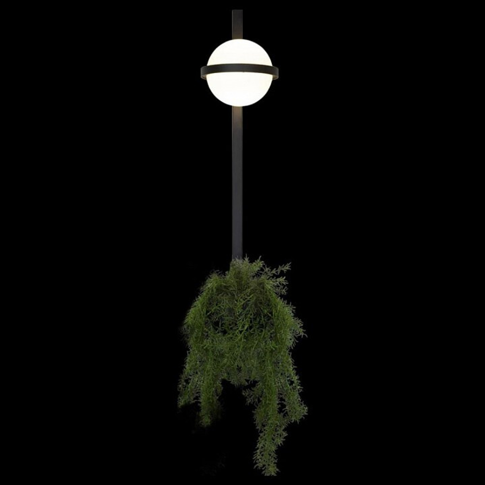 Бра Loft it Jardin 10121W/B