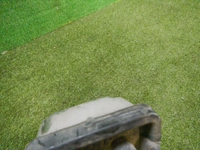 DSCN9658.jpg
