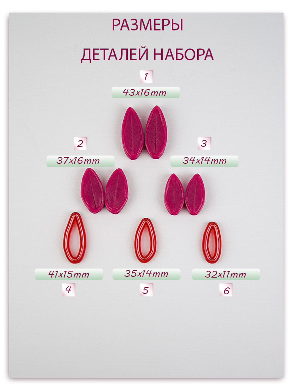 Листья душистого горошка
