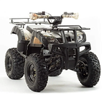 Квадроцикл PROMAX ATV 250 (2025)