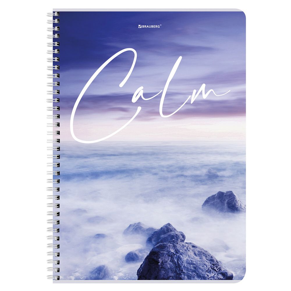 Тетрадь А4, 96 л., BRAUBERG, гребень, клетка, обложка картон, "Calm", 404059, 4шт