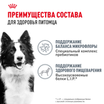 Royal Canin Medium Digestive Care Медиум Дайджестив кэа Корм сухой для взрослых собак средних размеров с чувствительным пищеварением 3кг