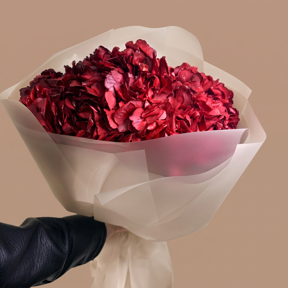 Красные гортензии Red Amor