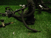 DSCN1264.JPG