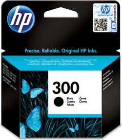 Струйный картридж черный HP 300