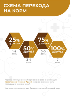 Корм для собак средних и крупных пород VD Hepatic HPN, диетический, полнорационный при хронической печеночной недостаточности, 800 гр, QUATTRO
