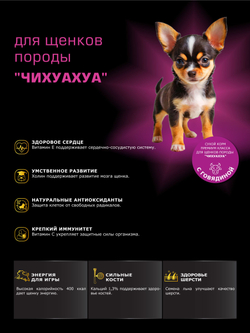 Quattro корм для щенков породы Чихуахуа, с говядиной, 6 кг, QUATTRO