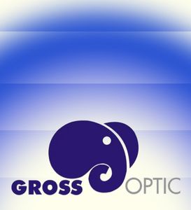 Gross Optic