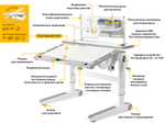Детский стол Mealux Ergowood - L Multicolor+ полка BD P-18 TG (арт.BD-810 TG/MC Energy + BD P-18 TG)