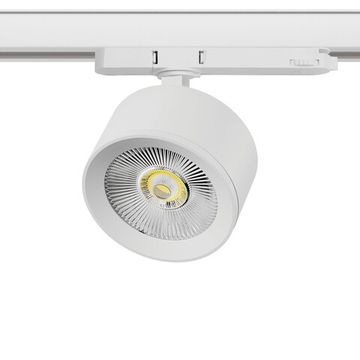Светильник для трековой системы Quattro LED с адаптером 15W 3000K A5536QT белый Alta Pro Lightstar