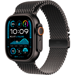 Apple Watch Ultra 2 49 мм 2024 Milanese